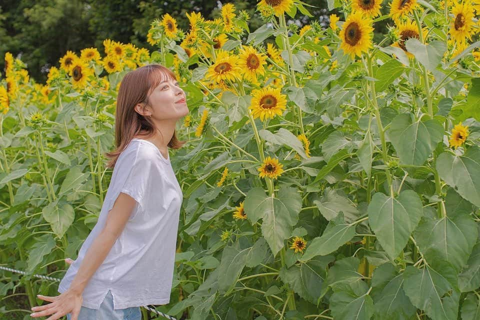 寺田安裕香さんのインスタグラム写真 - (寺田安裕香Instagram)「🌻 ⁡ ⁡ ⁡ ⁡ ⁡ ⁡ ⁡ ⁡ ⁡ ⁡ #夏 #ひまわり #写真 #ポートレート #撮影 #一眼レフ #笑顔 #奈良 #japan #japanesegirl  #좋아요 #팔로미#추억#일상룩 #오오티디#패션#데일리룩 #漂亮 #赞 #粉我 #followｍe」8月15日 16時21分 - ayukaterada