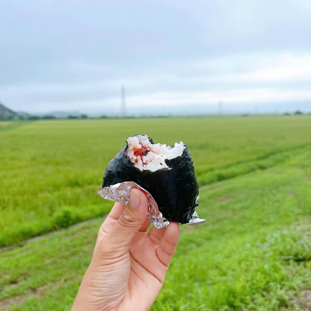 森下千里のインスタグラム：「大好きなおにぎり🍙 ふたつ食べて、 おかわりしてしまいました。  こんな平和な今日は、 77回目の終戦記念日。  先の大戦で亡くなられた方々、 その後の辛い世で日本再建のために 尽力してくださった全ての方々の おかげで、今があります。  暑い夏の日。  心から感謝いたします。  この先も、美味しいおにぎりが食べられるように、努力します。」