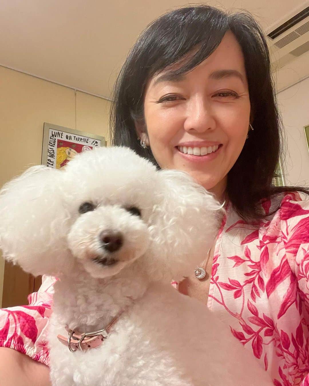 早見優さんのインスタグラム写真 - (早見優Instagram)「Happy with Snowy💕  #dog #poodle #doglover #犬との生活 #犬 #可愛い #snowy #癒し」8月15日 17時46分 - yuyuhayami