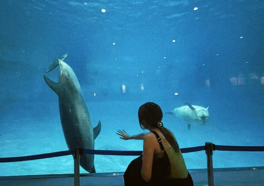 MAYU（吉田真悠）さんのインスタグラム写真 - (MAYU（吉田真悠）Instagram)「. 🐬🫧」8月15日 20時21分 - lgm_mayu_official