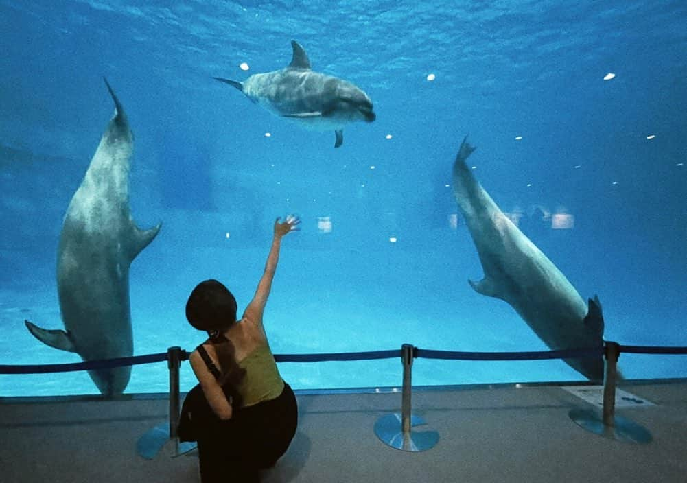 MAYU（吉田真悠）さんのインスタグラム写真 - (MAYU（吉田真悠）Instagram)「. 🐬🫧」8月15日 20時21分 - lgm_mayu_official