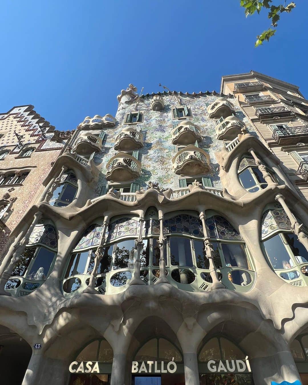 エリカ・ファサナのインスタグラム：「bcn」