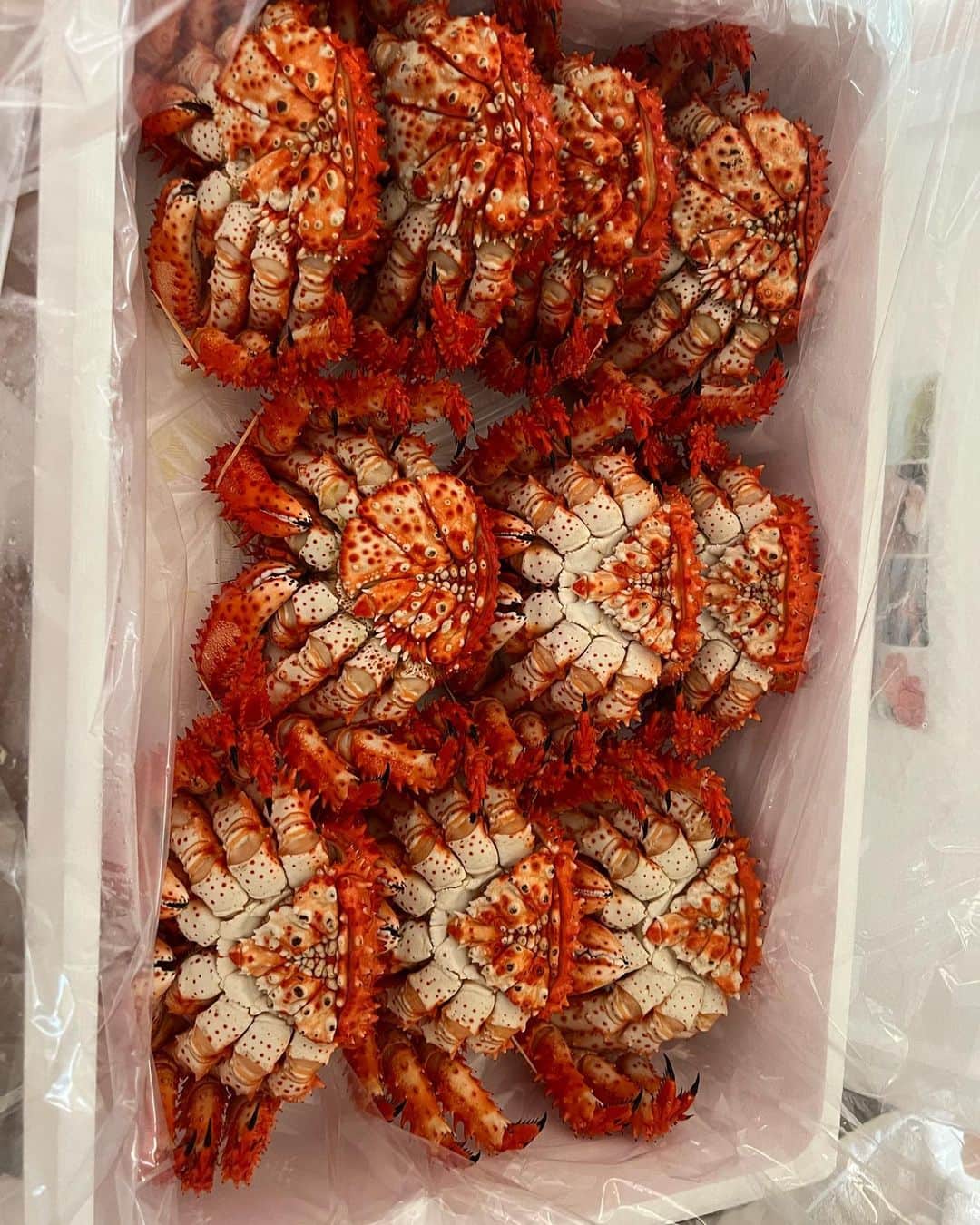 山口祥行のインスタグラム：「ギャハハギャハハ 根室ハナサキカニーー🍽」