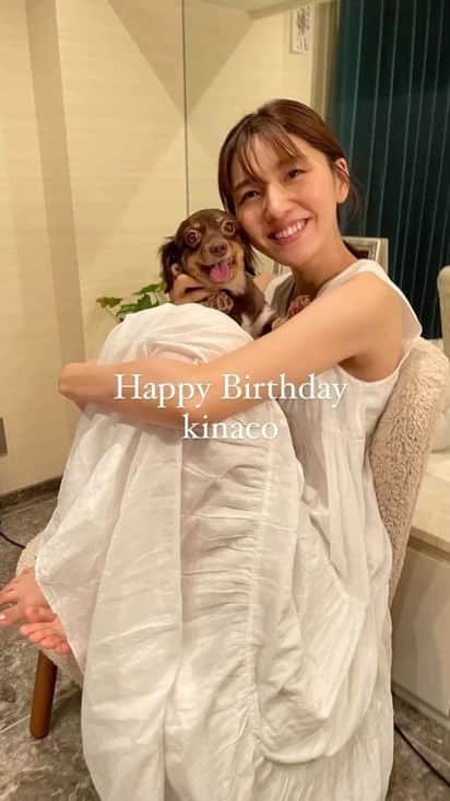 のインスタグラム：「きな子の誕生日🐻🎂❤️  6歳になりました〜 きな子がいてくれるおかげで毎日幸せです🫶🏻」