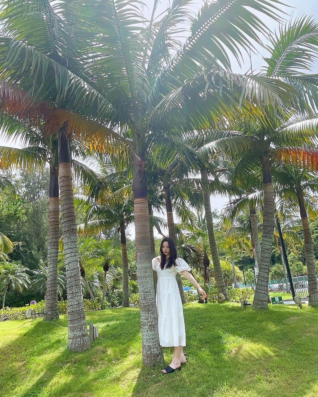 稲垣姫菜さんのインスタグラム写真 - (稲垣姫菜Instagram)「_ 🌴💚🌿  ・ ・ ・ #沖縄 #ヤシの木 #okinawa #palmtrees #05」8月16日 21時54分 - himena_inagaki