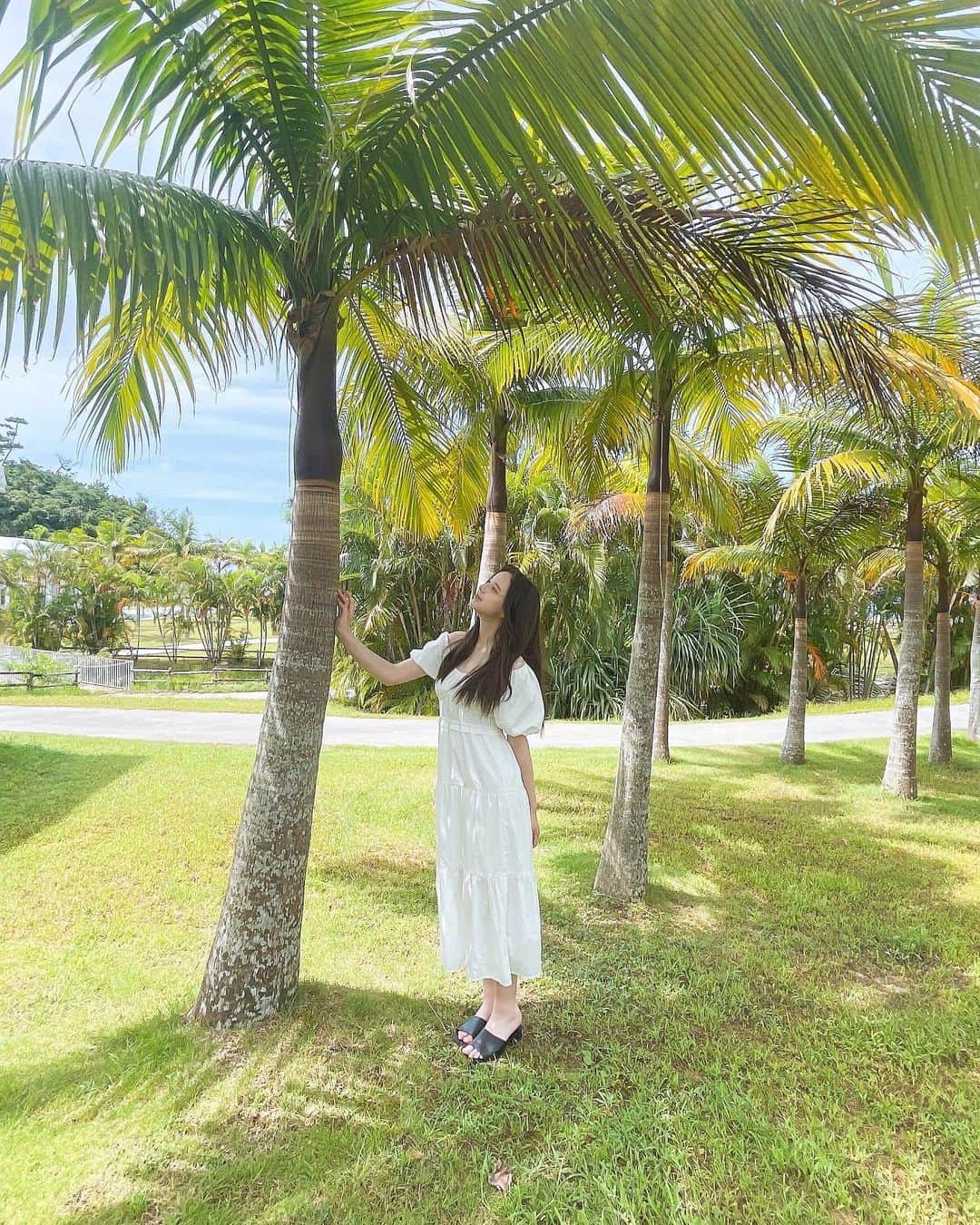 稲垣姫菜のインスタグラム：「_ 🌴💚🌿  ・ ・ ・ #沖縄 #ヤシの木 #okinawa #palmtrees #05」