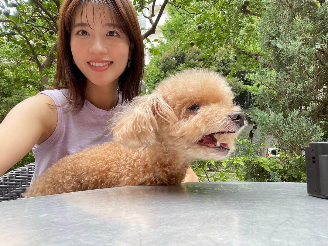 郡司恭子のインスタグラム
