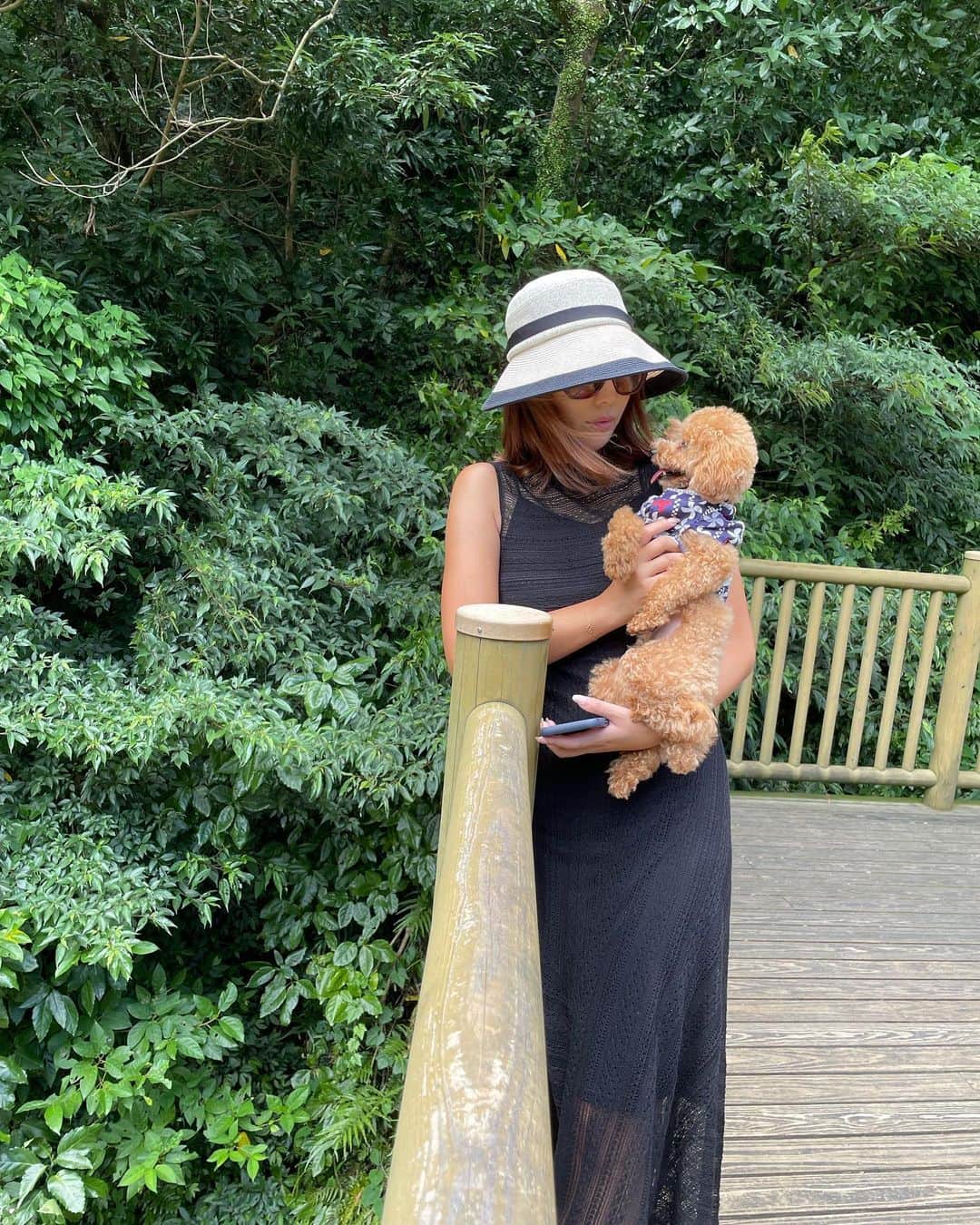 原田怜奈のインスタグラム：「今回、こんなにたくさんの方から 心配の連絡が来まして 私自身もびっくりしました、、。 本当にありがとうございます。 少しづつ回復していっています😣 今年はもうすぐ シーズンが終わることもあり 復帰できないですが 来年度に向けて たくさん日にちがありますので 体力作りから頑張りたいと思います。  日頃から 応援してくださる方への 恩返しみたいなのも していきたいと考えてます。  ありがとうございました。  またお時間がありましたら インスタ見に来て下さい☺️  今月末に #ペアマッチ選手権　の放送も ありますので、 是非見てください☺️ . . . . #女子ゴルフ #golf #写真が消えてこれが残ってた #写真は関係ありません。 #真っ黒は縁起悪そうなので、、」
