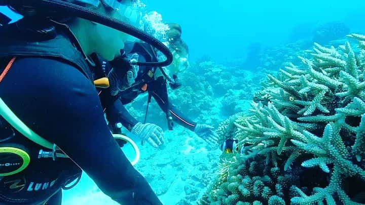 小林美香子のインスタグラム：「沖縄の海は天国みたい🌈  動画を撮ってもらったよー🌼」