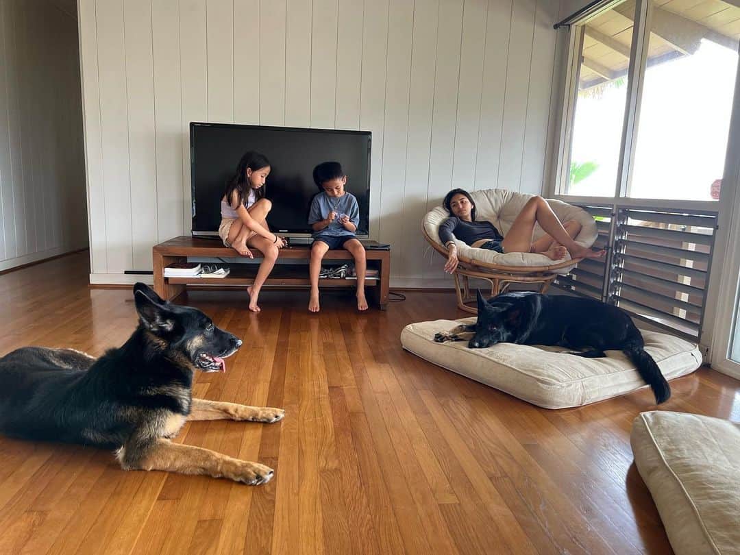 長谷川潤のインスタグラム：「Finally saying goodbye to this rental that held our family for the past year during our year long renovation.  Feeling a sense of bittersweet..🥹🌿  いよいよお引っ越し。リノベーション中、1年間お世話になったこのお家、携帯の写真や動画を振り返れば、いっぱい思い出が詰まっていて、なんだか、お別れするのが、ちょっぴり寂しい😢✨」