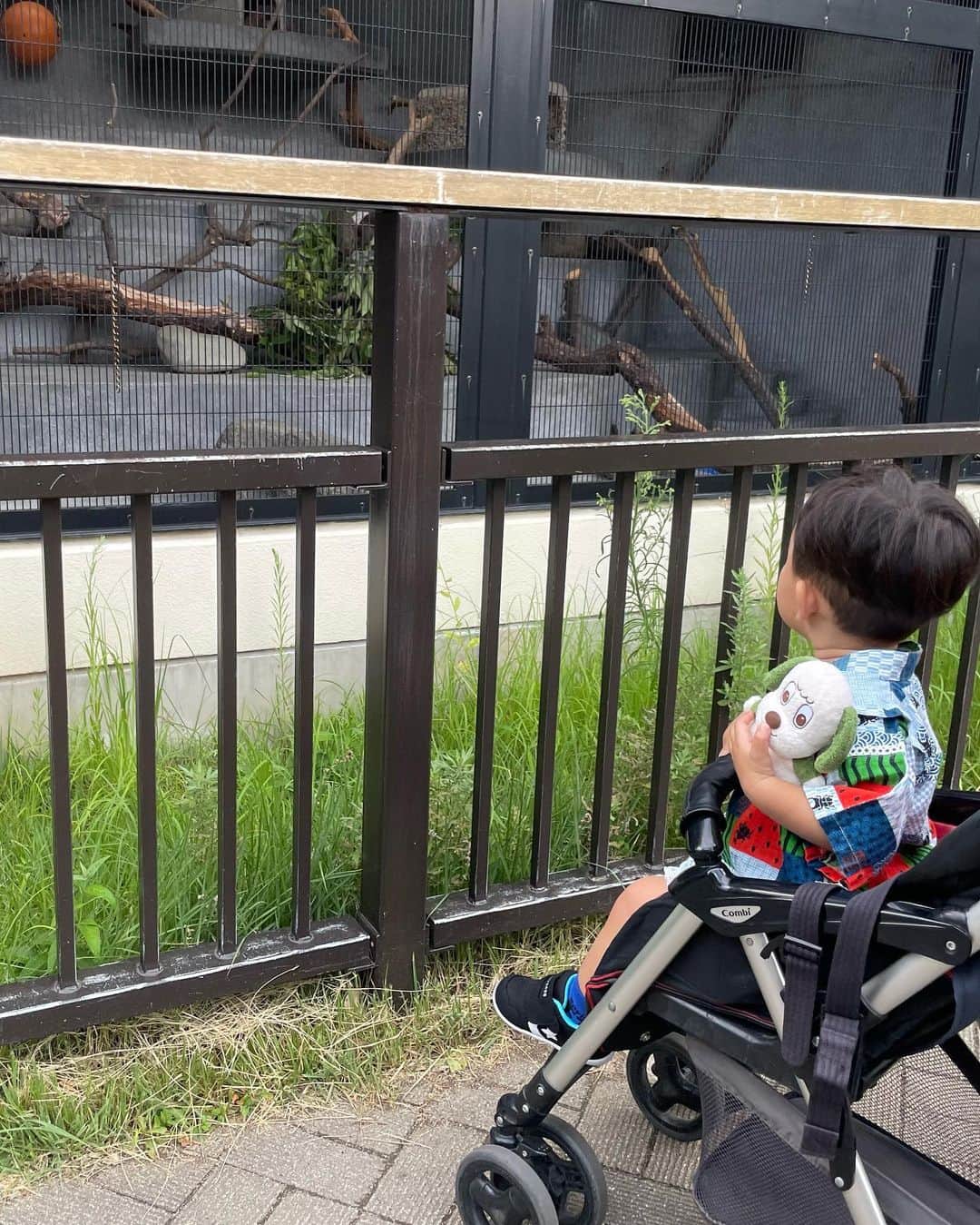 Mitoさんのインスタグラム写真 - (MitoInstagram)「京都やっぱり素敵〜😊✨ 子供が鉄オタだからどうしても 鉄道博物館に行きたくて 着いた瞬間から0系に向かって 一直線に走っていった😂 嬉しそうな姿がほんとに嬉しかった💓 京都動物園もおしゃれで、 動物園独特の匂いもしなくて 動物も沢山いて混雑もしてなかった🤗  清水寺にも行けて、 少し大人の観光もできた👍  次はどこに行こうかな、、🥹💓」8月17日 14時02分 - mitosaki912