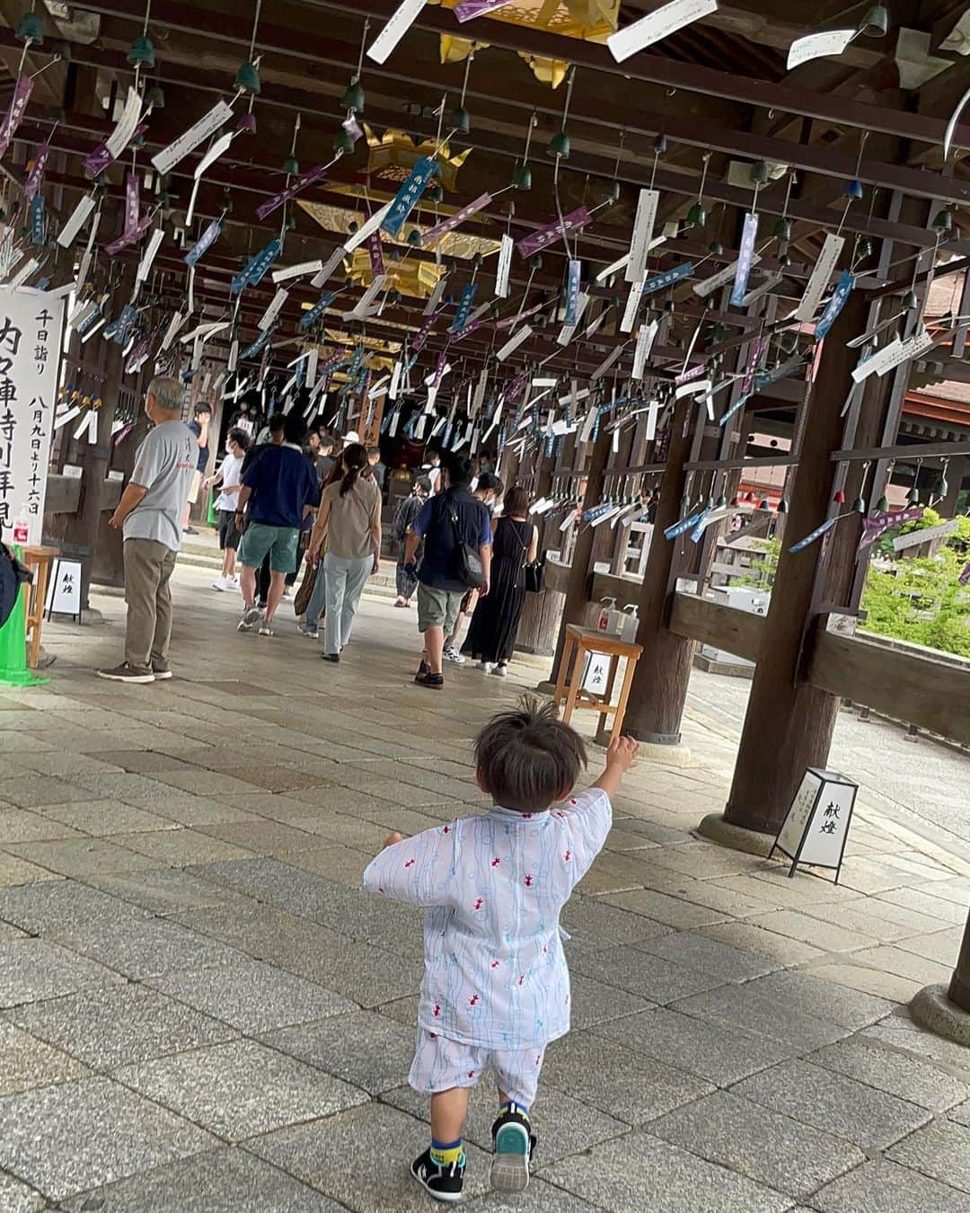 Mitoのインスタグラム：「京都やっぱり素敵〜😊✨ 子供が鉄オタだからどうしても 鉄道博物館に行きたくて 着いた瞬間から0系に向かって 一直線に走っていった😂 嬉しそうな姿がほんとに嬉しかった💓 京都動物園もおしゃれで、 動物園独特の匂いもしなくて 動物も沢山いて混雑もしてなかった🤗  清水寺にも行けて、 少し大人の観光もできた👍  次はどこに行こうかな、、🥹💓」