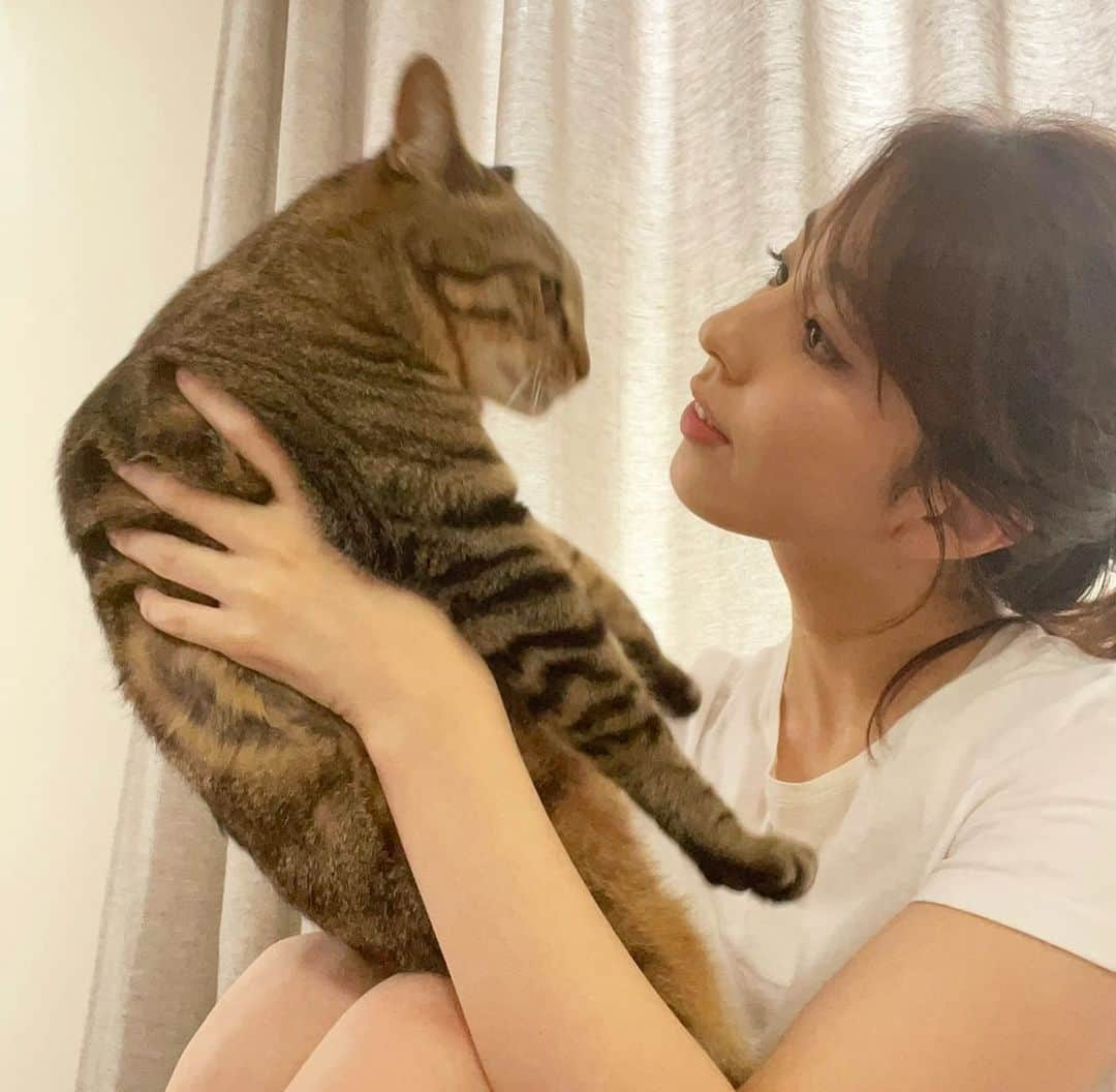 柳ゆり菜さんのインスタグラム写真 - (柳ゆり菜Instagram)「今年で5歳になったtinga🐈 との2ショット。  ティンが産まれて3ヶ月の時から一緒に暮らしてるので、 未だに赤ちゃんみたいにマザコンで、 どんな時も呼んだらニャーと返事しながら 走ってくるような子。 元々野良猫ちゃんなので、確かな誕生日は目安。 こうして出会えてよかった！！ とても賢いので、 知恵比べに悩まされる日々。(笑)  抱っこはあんまり 得意じゃないので、 写真撮ろうとしても ブレるブレる。」8月17日 18時34分 - yurinayanagi__