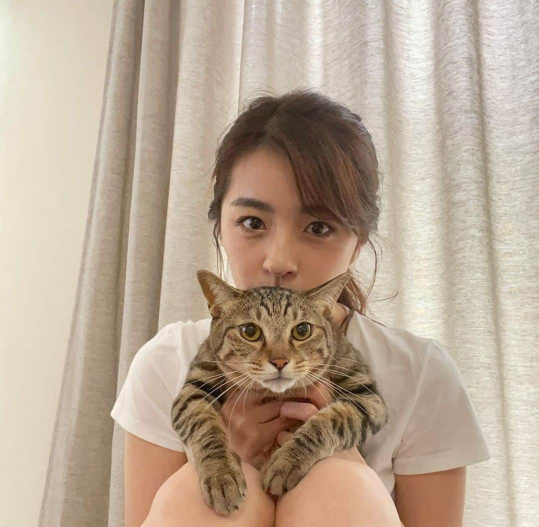 柳ゆり菜さんのインスタグラム写真 - (柳ゆり菜Instagram)「今年で5歳になったtinga🐈 との2ショット。  ティンが産まれて3ヶ月の時から一緒に暮らしてるので、 未だに赤ちゃんみたいにマザコンで、 どんな時も呼んだらニャーと返事しながら 走ってくるような子。 元々野良猫ちゃんなので、確かな誕生日は目安。 こうして出会えてよかった！！ とても賢いので、 知恵比べに悩まされる日々。(笑)  抱っこはあんまり 得意じゃないので、 写真撮ろうとしても ブレるブレる。」8月17日 18時34分 - yurinayanagi__