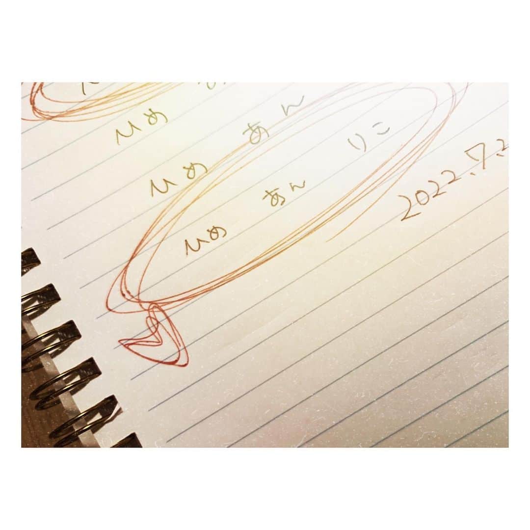くりかさんのインスタグラム写真 - (くりかInstagram)「新しい家族ができました☺️🫶💐  ダックスの4歳 りこちゃんです🐕♡  りこはなぁ、保護犬やったんよ 繁殖引退犬で、いっぱいがんばったの。  もう家族になって１ヶ月弱かなぁ。  来た初日にくりかも実家で一緒に迎えられたんやけど、会った瞬間に膝のうえに乗ってきてくれて、もう会った瞬間からでれでれ🤤笑  でもな、やっぱりすっごく怯えてることが多くて、外でさんぽもしたことないから、車とか自転車とか人にびっくりして怖くて震えちゃったり、抱っこも慣れてないからめっちゃかたまって手と足ぴーんってなって、りこかたいなぁ言いながら抱っこしてたり☺️  まだまだ震えちゃうときもあるけど、今では足ばーん開いてお腹丸出しで寝てくれるようになったよ♡  お盆にも3日間一緒にいられて、しっぽぶんぶんで撫でてー！！！ってお腹出してくれるようにもなって、もぉ愛おしい愛おしぃ🥹  もうばいばいしておうち帰ってきてるんやけど、キョロキョロしてくりか探してるってLINE来て泣けてきちゃう🥹♡  あんちゃんもあいかわらず元気🐶🌺  でもな、ひめが春に亡くなってから、分離不安症になってしまって。  あんは生まれたときからずっと隣にはひーちゃんがいて、ひとりになったことがなかったの  だから、ひーちゃんの遺骨の前でずっと伏せして過ごしてたり、朝まで寝なくなったりさんぽも歩かんくなったり 表情もなんかすっごく悲しそうで寂しそうやったんよね。  それを毎日みてる家族も心苦しかったやろなぁって思うし、あんのためにも迎えたいって思ったんやって。  でも、りこが来てからいきいきして元気になった☺️  あんちゃん、ひーちゃんおるときもずっとかまってちゃんの焼きもち焼きやったから家新しい家族を迎えるのも心配ではあったんよね。  でもな、そんな心配まったくなくてりこが来てからすっごいお姉ちゃんになったんよ🥹  初日からあんちゃんの寝床でふたりで寝てたのみたときはほんと感動したなぁ。 あと、ハウスしてるりこをずっと外から見てる姿がたまらなく愛おしかったから写真も貼っとく♡ 動物園の檻の中におる動物みてる人みたいやった笑  今では、あんが先お風呂入って、りこが次にお風呂入ってたら、わたしのりこどこやー！！！みたいなかんじになってりこが引くくらいりこ大好きあんです🫶  愛おしいてしゃーないふたり♡  ひーちゃんも安心してくれてるんちゃうかなぁって思うよ☺️💐  めちゃくちゃ長くなってしまったやん！ りこちゃんよろしくお願いします♡  たまにストーリーとかに出てくると思う🐶🐶  #ひめあんりこ #だいすきな家族 #保護犬 #繁殖引退犬」8月17日 22時19分 - kurika_ayumikurikamaki