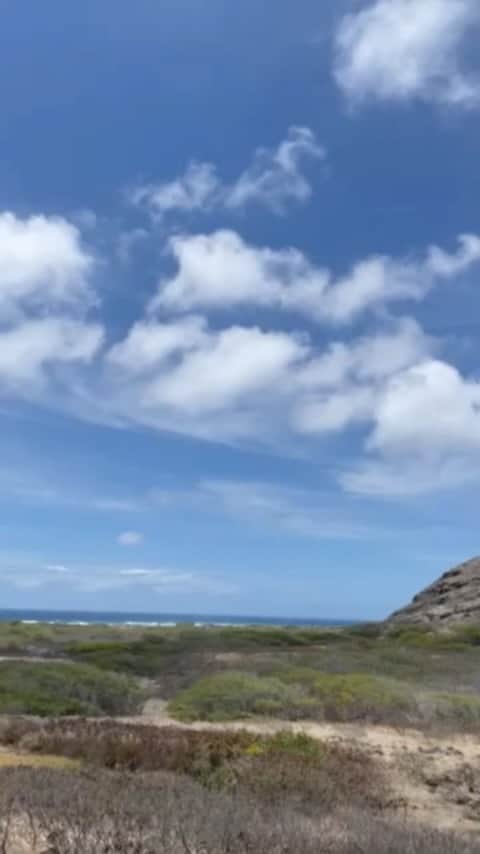 伊東美咲のインスタグラム：「#マカプウ岬　 #ハワイオアフ島最東端 #マカプウポイント  先日マカプウ岬にリフレッシュに行って参りました。人気のハイキングスポットですね。」