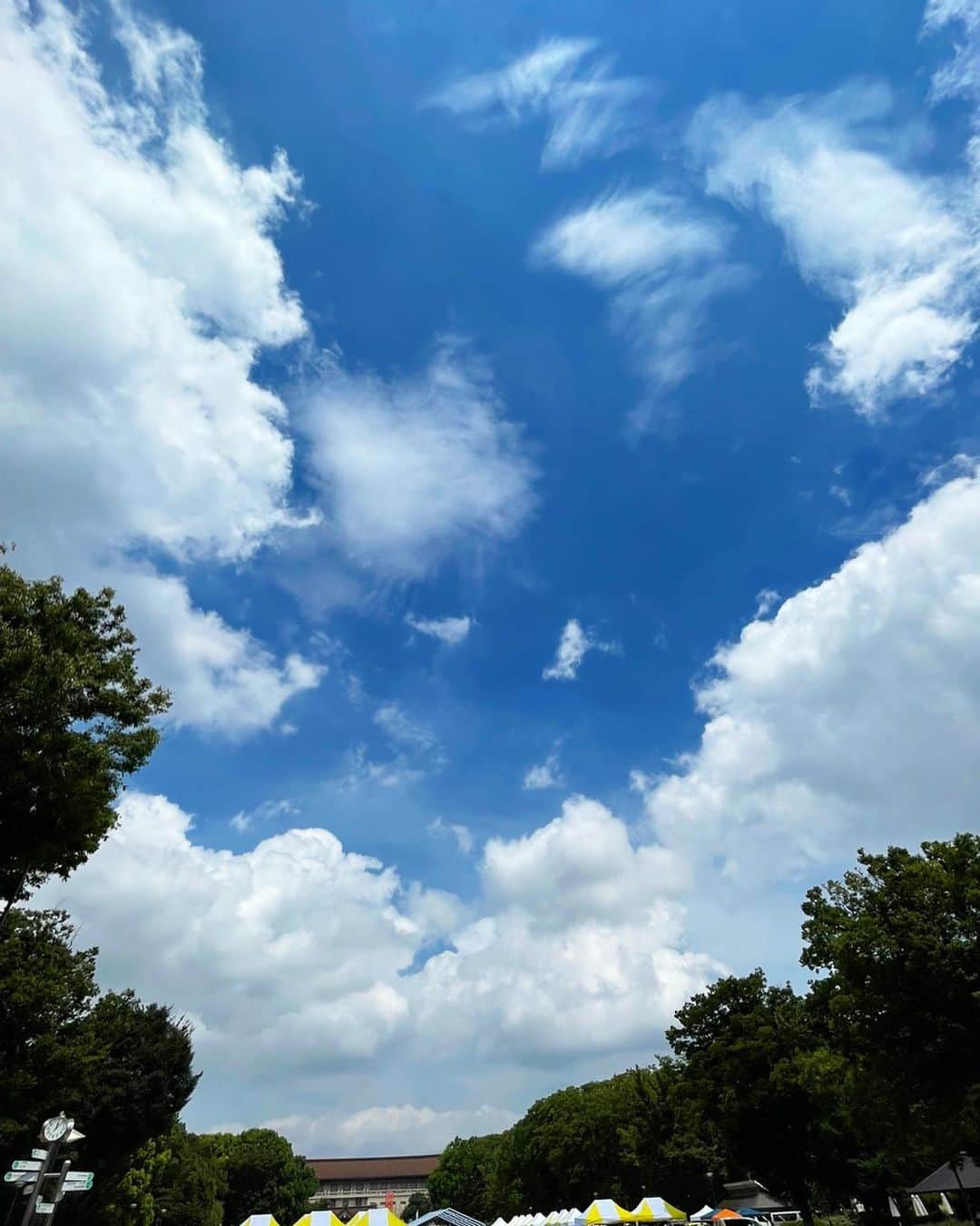 住吉美紀のインスタグラム：「#summersky #これぞ夏空 #暑いけど気持ちいい #あら真ん中に小さな魚がいるかも」