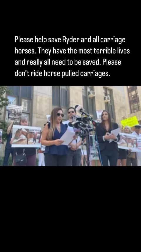 クリスタル・ハリスのインスタグラム：「Thank you to all the selfless people trying to save and create a better life for these horses. 🐴 #banhorsecarriages」