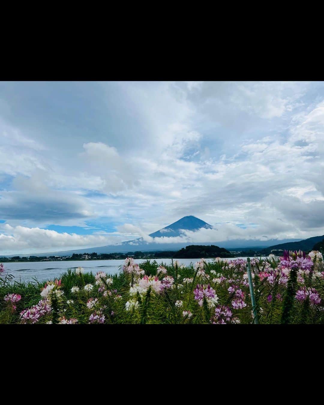鈴木蘭々さんのインスタグラム写真 - (鈴木蘭々Instagram)「お花と富士山🌸🌼🗻☺️  平和感漂う写真に映るこの富士山も  まだまだ若い現役の活火山🌋🌋🌋  長ーい地球の歴史から見れば産まれたてホヤホヤの赤ちゃん火山👶🌋  たまたま今は大人しくしているだけ👀  近年最後の噴火は1707年の12月の宝永大噴火🌋🌋🌋ですって👀  空は灰の影響で江戸の町でも暗くて行燈が必要な程だったのだそう。  灰が雪のように降って川や水路の水も台無しに…🙄  東日本大震災を機にそろそろ富士山が噴火するんじゃ無いかって巷でも噂ですけど…  所詮人間には憂う事しかできない…  #富士山 #一回だけ登った事がある #高山病でダウン🙄 #リベンジとして2回目も誘われたけど #断りました（笑） #大石公園 #河口湖」8月18日 9時37分 - lanlan_suzuki