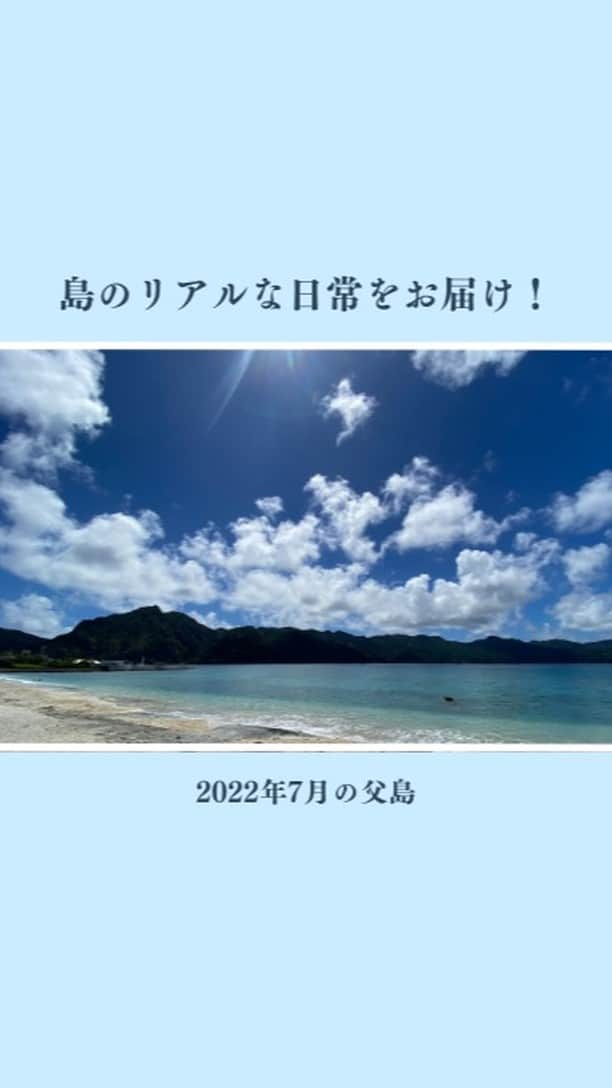 小笠原村観光協会のインスタグラム：「【島の日常をお届け！】2022年7月の父島  小笠原諸島の父島の生活ってどうなの？観光の楽しみ方は？月ごとの小笠原はどんな感じなの？ そんな様々な疑問にお答えできるように、父島の日常やイベントなどをお届けするこの企画！今回は「2022年7月の父島」をお届けします！！  7月は、#夏らしいお天気で7月をスタート #にっぽん丸が来島しました #夏はどこへ？スコール注意 #夏の着発運航スタート #ベビーラッシュ #やっと夏らしくなってきました♪  などがありました＾＾  #小笠原 #小笠原諸島 #小笠原諸島父島 #父島 #小笠原村観光協会 #ogasawara #boninisland #ogasawaraisland #島暮らし #小笠原の日常 #小笠原の楽しみ方 #離島暮らし #ここも東京 #船で24時間 #船のある風景 #ogasawalove #7月の小笠原」