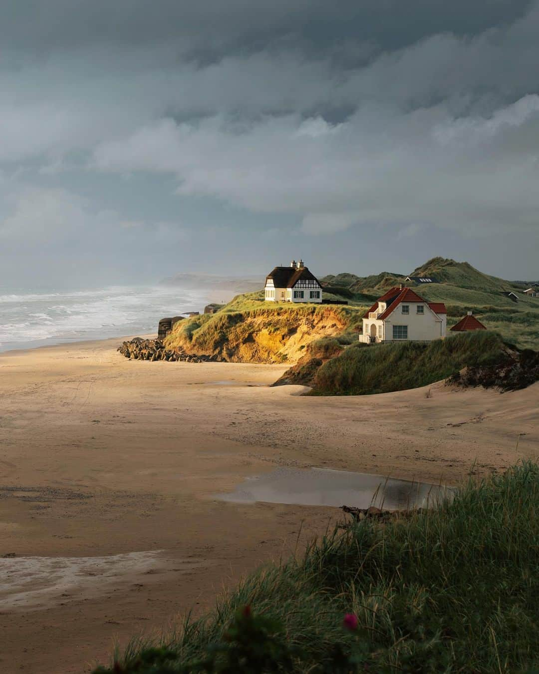 Simone Bramanteのインスタグラム：「In the summer, the north west coast of 🇩🇰 - Jutland more specifically - is the one that made me feel the elements such as air and water the most, in the form of strong wind, rain with sun and therefore with moments of beautiful dramatic light. As well as being able to meet creatures like this lonely seal on deserted beaches.  @govisitdenmark #everydaywonders   #visitdenmark #govisitdenmark」