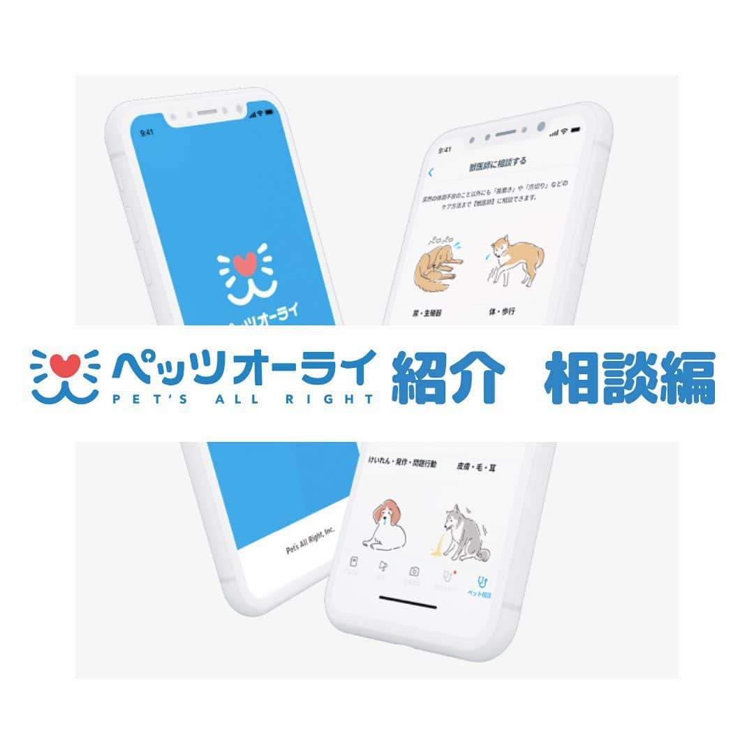 PET'S ALL RIGHT 【公式】のインスタグラム