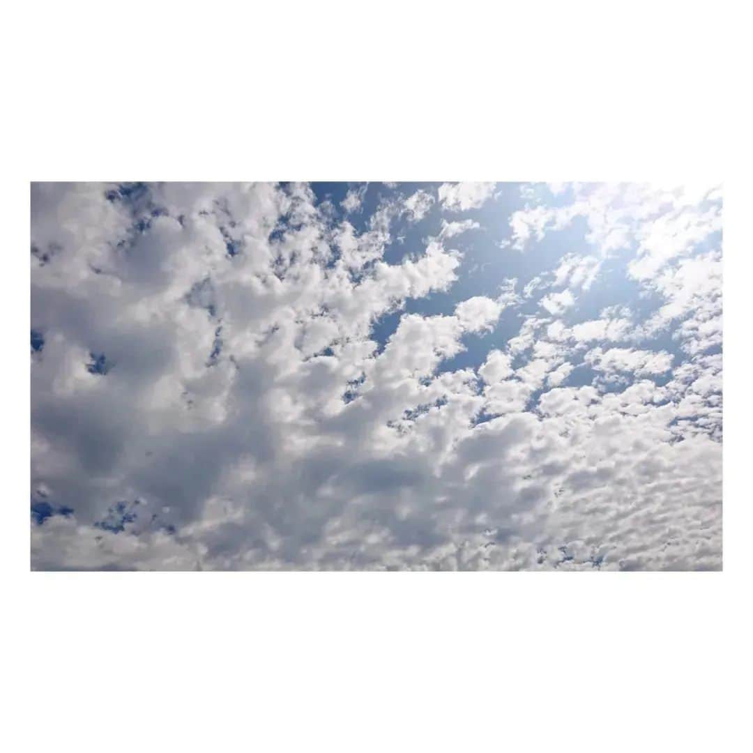 花村怜美さんのインスタグラム写真 - (花村怜美Instagram)「#空 #雲 #木々 #晴れ #緑 #自然 #景色 #見上げる #風景 #sky #trees #cloud #clouds #cloudscape #cloudstagram #skystagram #green #nature #japan」8月18日 18時30分 - satomi_hanamura