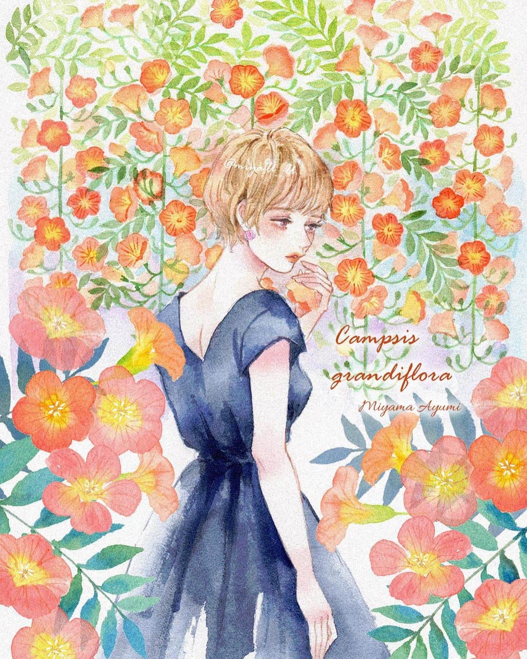 miya(ミヤマアユミ)のインスタグラム：「ノウゼンカズラ  #花kotoba🌸 に掲載されている物と別ver.です。  #artwork #watercolor #水彩 #透明水彩 #art #illust #illustration #draw #illustrator #イラスト #イラストレーター #手描き #手書き #アナログ #アナログイラスト #miyamaayumi #花 #flower #flowers #花言葉 #図鑑 #ノウゼンカズラ #summer #夏 #夏の花」