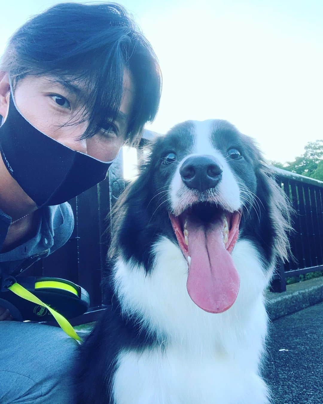 川上大輔のインスタグラム：「dog！dog!🐶」