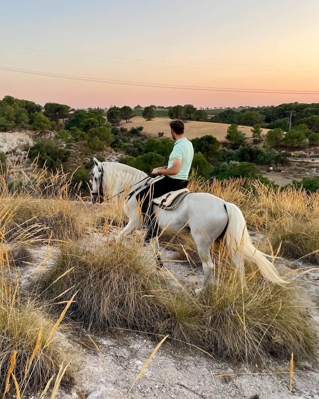 ヘスス・フェルナンデス・コラードのインスタグラム：「🐎🌅 Paso firme y mirada al frente. 🌅🐎」