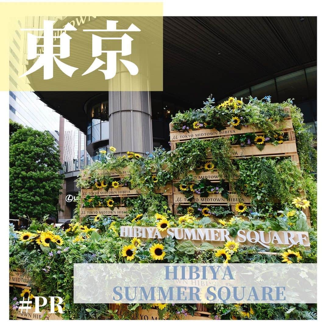 aumoのインスタグラム：「【#東京ミッドタウン日比谷】 ㅤㅤㅤㅤㅤㅤㅤㅤㅤㅤㅤㅤㅤ ㅤㅤㅤㅤㅤㅤㅤㅤㅤㅤㅤㅤㅤ ㅤㅤㅤㅤㅤㅤㅤㅤㅤㅤㅤㅤㅤ 今回は、東京ミッドタウン日比谷で開催されている「HIBIYA SUMMER SQUARE」をご紹介します🌼🎪 特に週末は夏らしいイベントが盛りだくさん！ ひまわり彩る空間の中で"夏の涼"を感じてみてください ♡ ⏩ @tokyomidtownhibiya ㅤㅤㅤㅤㅤㅤㅤㅤㅤㅤㅤㅤㅤ ⚠️開催期間：7月22日〜8月28日 ㅤㅤㅤㅤㅤㅤㅤㅤㅤㅤㅤㅤㅤ  ぜひ保存して、お出かけの際に参考にしてみてください◎ . ※新型コロナウイルス感染拡大防止の為、節度ある行動と共に、お出かけをする際はマスクの着用など感染拡大防止にご協力お願いいたします。 ㅤㅤㅤㅤㅤㅤㅤㅤㅤㅤㅤㅤㅤ ㅤㅤㅤㅤㅤㅤㅤㅤㅤㅤㅤㅤㅤ あなたが撮影した写真に 「#aumo」をつけてください♪ あなたの投稿が明日紹介されるかもっ🌷 ㅤㅤㅤㅤㅤㅤㅤㅤㅤㅤㅤㅤㅤ ㅤㅤㅤㅤㅤㅤㅤㅤㅤㅤㅤㅤㅤ aumoアプリは毎日配信！お出かけや最新グルメなどaumo読者が気になる情報が満載♡ ダウンロードはプロフィールのURLから🌈 ㅤㅤㅤㅤㅤㅤㅤㅤㅤㅤㅤㅤㅤ ㅤㅤㅤㅤㅤㅤㅤㅤㅤㅤㅤㅤㅤ #aumo #アウモ #PR #日比谷の夏 #8月末まで #サマースクエア #東京ミッドタウン#tokyomidtownhibiya #日比谷 #hibiya #おでかけ  #おでかけスポット #休日の過ごし方 #週末の過ごし方」