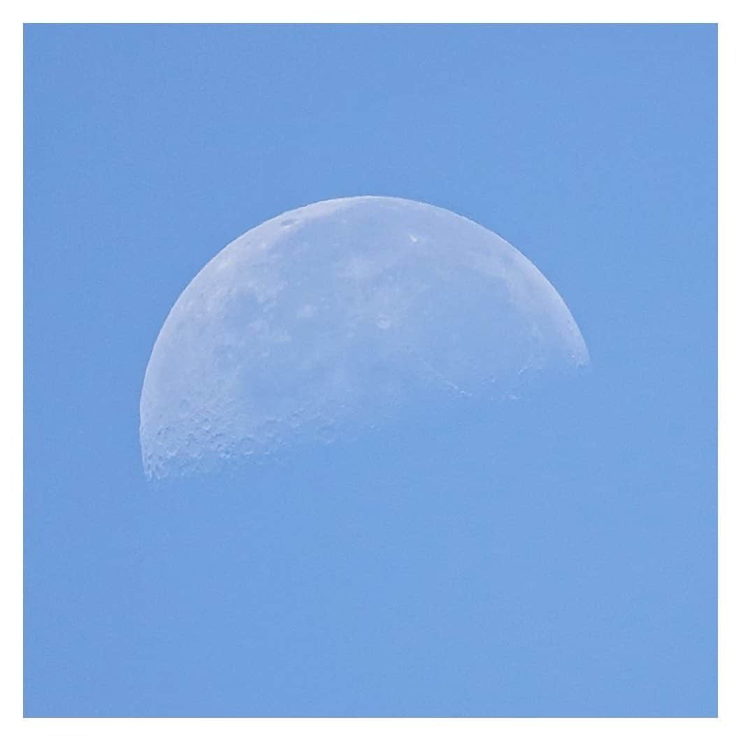さだまさしさんのインスタグラム写真 - (さだまさしInstagram)「おぐらひろかずの絵の様な❣️ 良い下弦の月 . #下弦の月 #月 #おぐらひろかず #さだまさし #sadamasashi」8月19日 11時25分 - sada_masashi