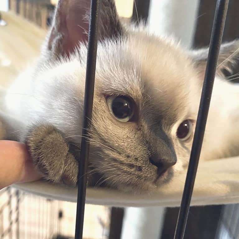 Souのインスタグラム