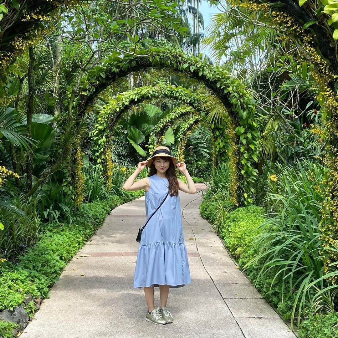 若井久美子のインスタグラム：「世界遺産に指定されているシンガポールにあるボタニックガーデン🌴🌳🪷 家族の仕事の関係でシンガポールに滞在していました。 ボタニックガーデン園内はあまりに広く、全部は見きれなかったのですが、ナショナルオーキッドガーデンの蘭の種類と美しさには感動しっぱなしでした✨ この規模の公園の花達を健康に維持させるのは大変なことだろうなぁ🥹✨  #botanicgarden  #ボタニックガーデン  #singapore  #シンガポール」