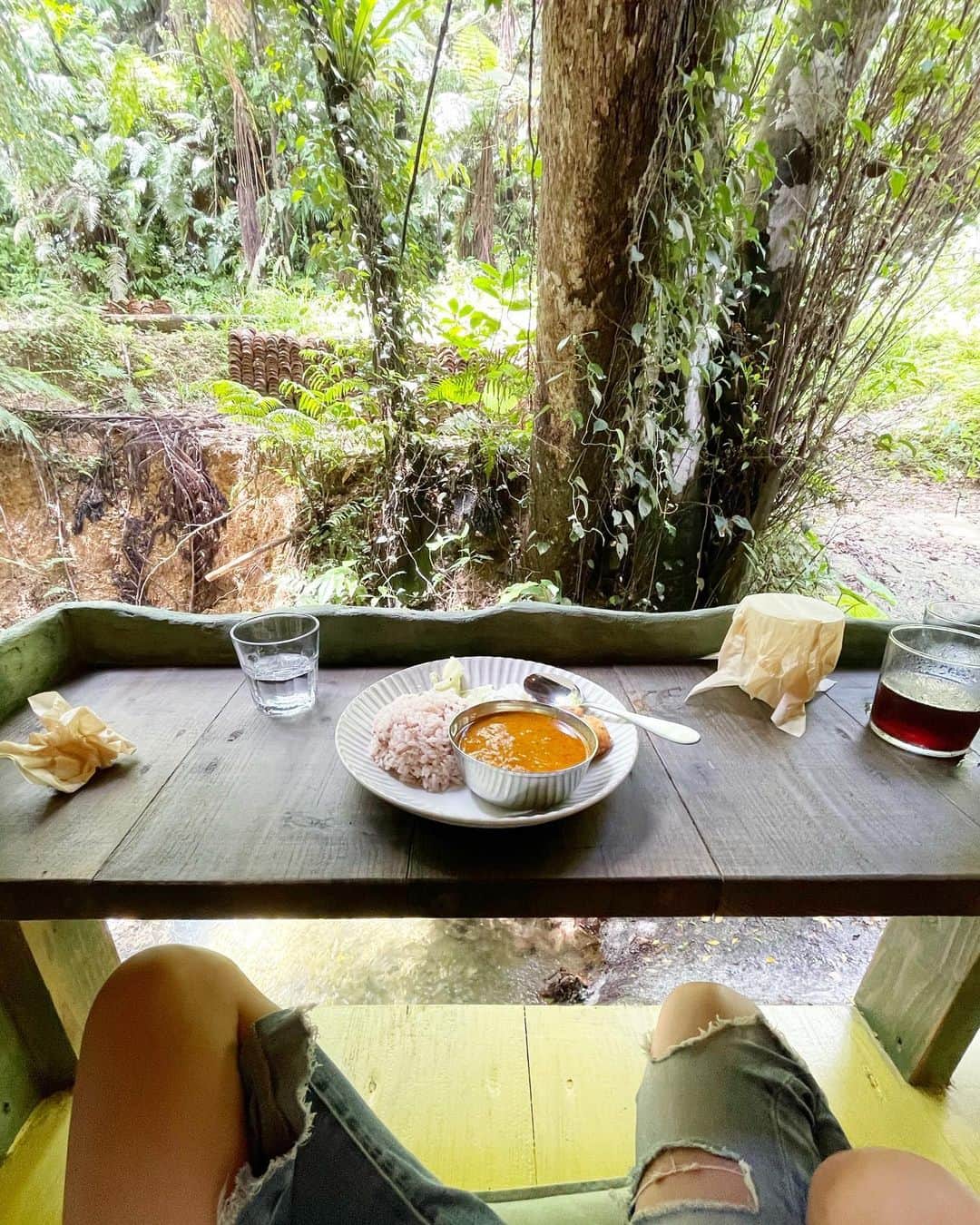 のインスタグラム：「昨日ストーリーズにあげて、たくさんDMで質問いただいたこちらのカフェ🍛(返信できてない方も多く、、こちらで返信とさせてください🙏)  沖縄北部やんばるにある "パーラーやまがめ"というカフェでカレーやピザやトーストなど子供も楽しめるカフェです🥰 自然の音と風に癒され、鳥達の声に癒されたランチタイムでした😊 ニワトリは放し飼いで敷地内を散歩しています🐓(4枚目)  娘の夏休み最後の遠出は沖縄の北部やんばるへ2泊3日で遊びに行きました😊  #teruya旅 (←世界中を家族で旅した思い出たちハイライトにも残してます) #teruyaオススメ (←沖縄のオススメあれこれ) #山原 #やんばる #沖縄 #okinawa #カフェ #ピザとかカレーとかお子様も食べれるメニューもありました #沖縄カフェ」