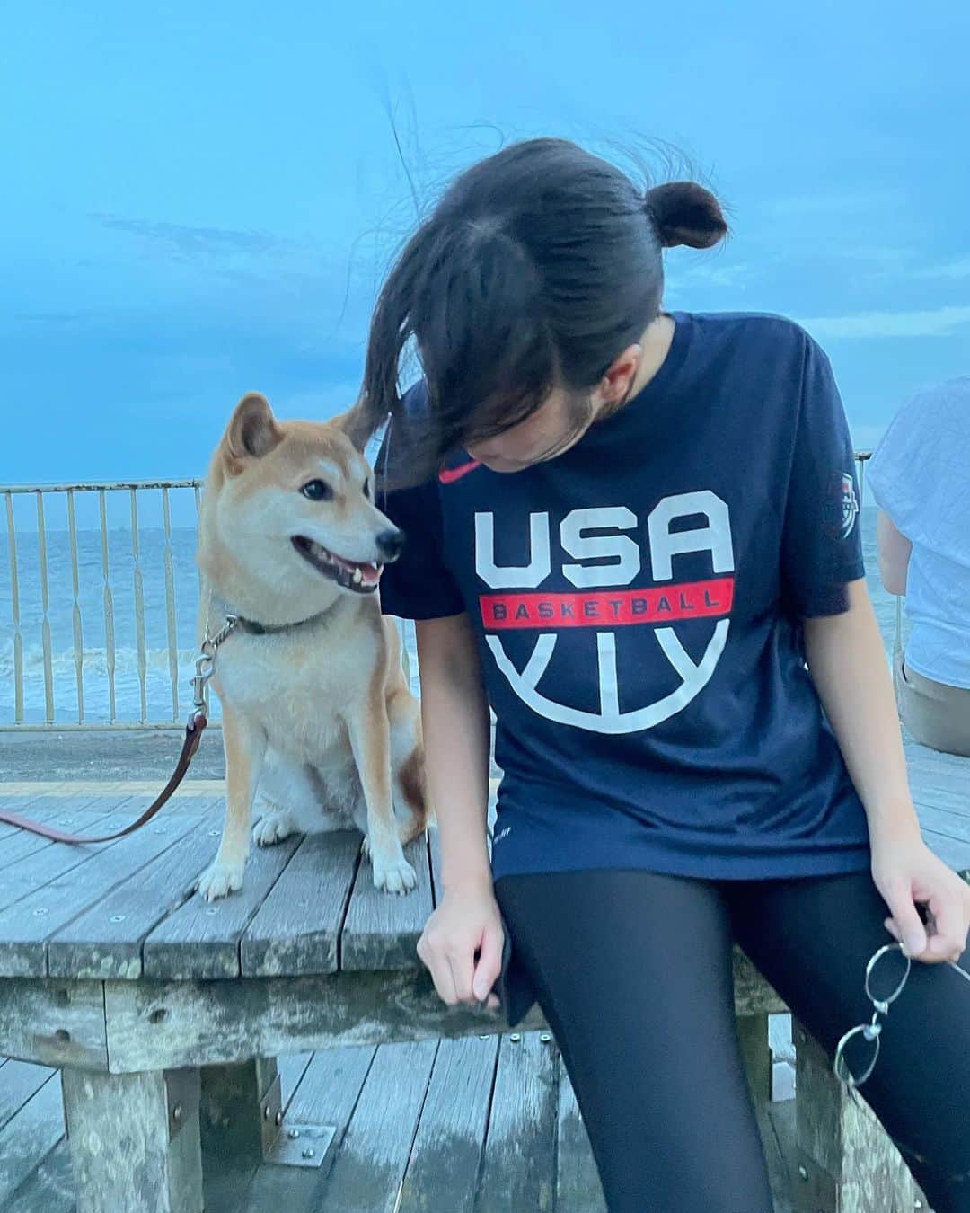 のインスタグラム：「🐕  しばのウメちゃん🫰  #柴犬 #しばいぬ #shibainu」