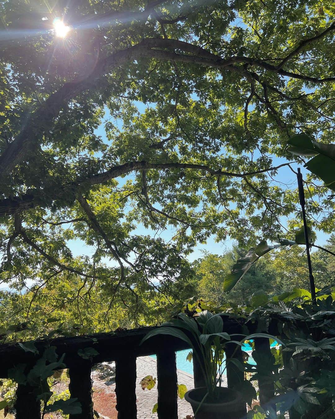 稲木ジョージのインスタグラム：「🍃🌿🌱🌳」