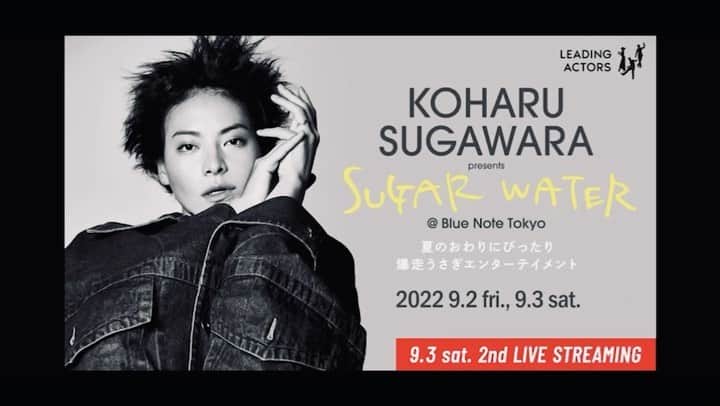 菅原小春のインスタグラム：「SUGAR WATER  〜夏の終わりにぴったり爆走うさぎエンターテイメント〜  @bluenotetokyo で5年ぶりの公演させていただきます  ありえないぐらいおどります  もういいやってぐらいずっとおどります  見に来た人全ての人に爆走で踊り狂います  演奏は、わたしのアイドル チーナさんとおねえちゃんです  一からピカピカに音楽つくって ならしつづけます  夏の終わりにきっとぴったりです  チケットはプロフィールからよろしくお願いします。  是非！お待ちしております。  ひなちゃん、ビデオありがとう。  ぴょん」