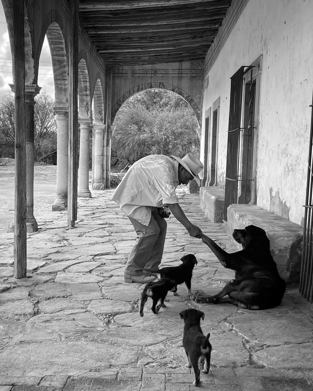 ロドリゴ・プリエトさんのインスタグラム写真 - (ロドリゴ・プリエトInstagram)「Don Adolfo y sus perros」8月20日 5時48分 - rpstam