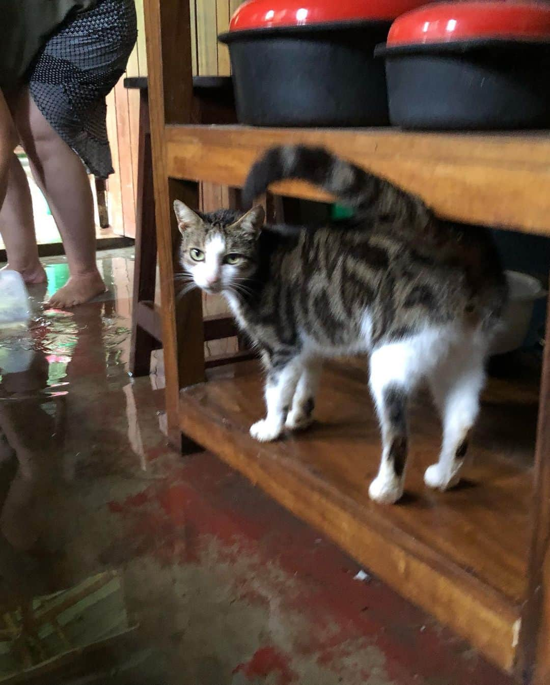 Laura Martyさんのインスタグラム写真 - (Laura MartyInstagram)「When it rains, it pours… and floods your entire house. But there’s nothing that a little 2:00am trench digging and the help of teammates and friends can’t fix. We are grateful for minimal water damage, concrete floors, and lots of laughs amidst the struggle.」8月20日 18時20分 - laura_how_you_get_up_there