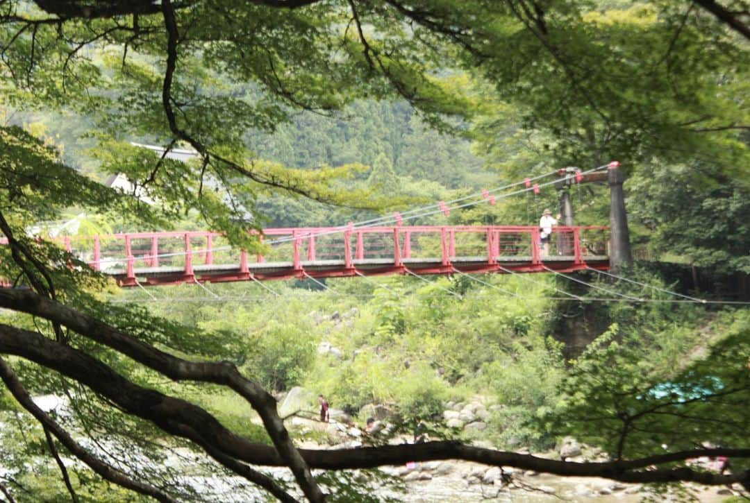 川端魁人さんのインスタグラム写真 - (川端魁人Instagram)「夏の香嵐渓に行ってきました📸  緑が多くて涼しかった〜🎐  #一眼レフ　#豊田市　#香嵐渓　#緑」8月20日 19時05分 - kit_817kk