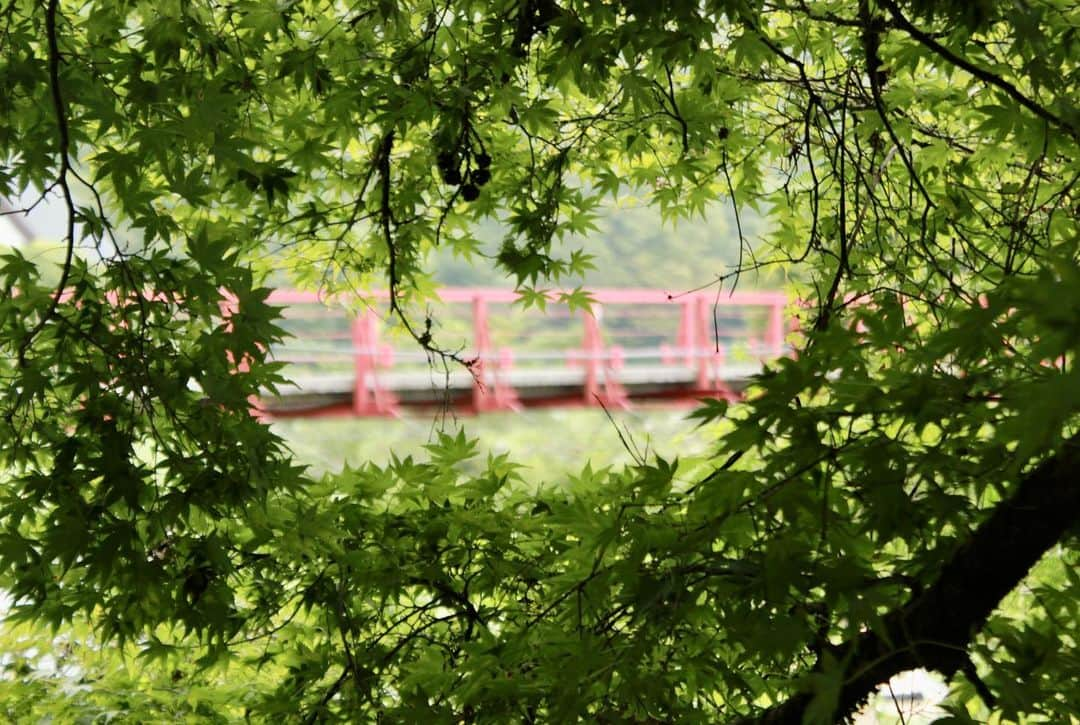 川端魁人さんのインスタグラム写真 - (川端魁人Instagram)「夏の香嵐渓に行ってきました📸  緑が多くて涼しかった〜🎐  #一眼レフ　#豊田市　#香嵐渓　#緑」8月20日 19時05分 - kit_817kk