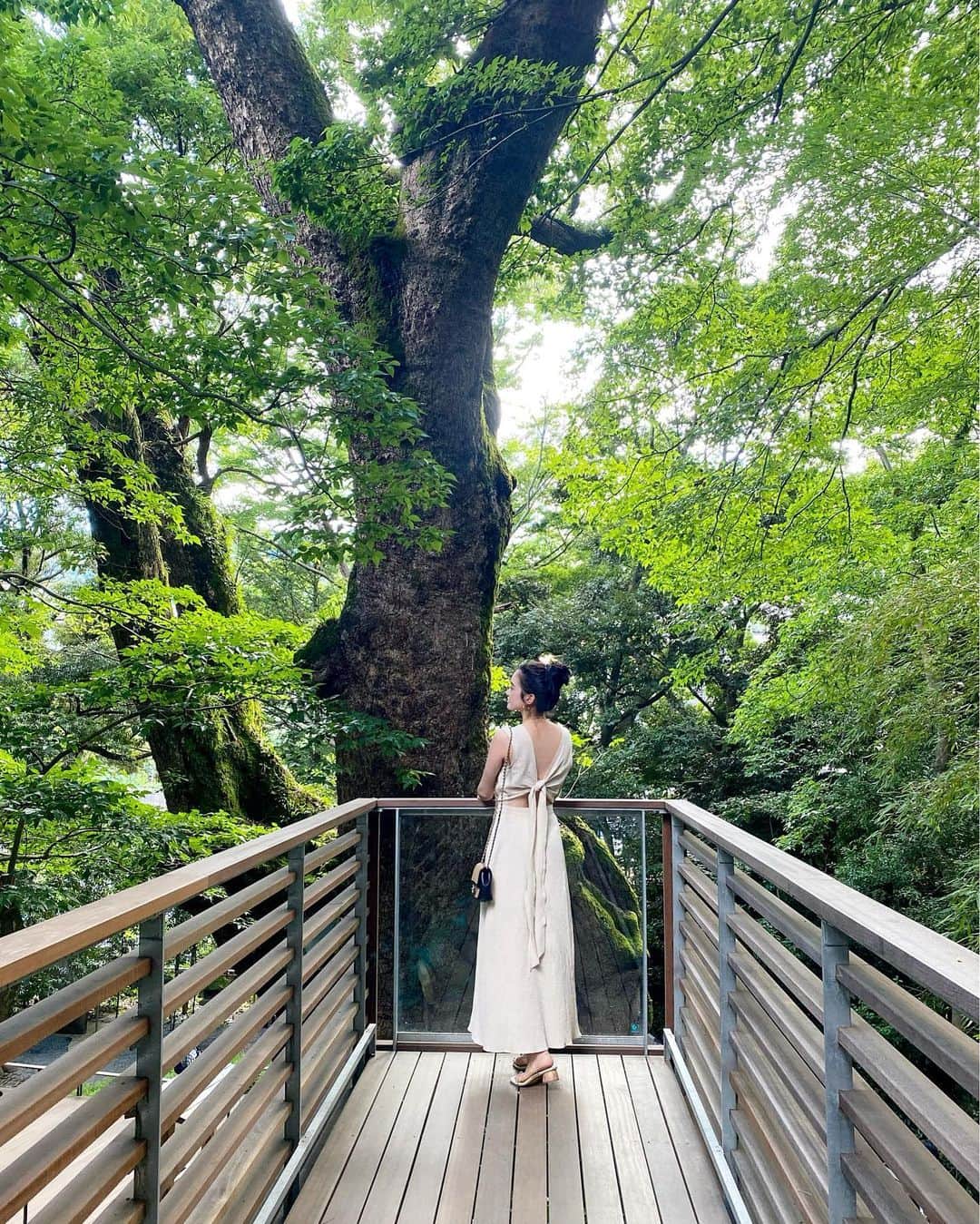 太田麻美のインスタグラム：「🌳💚」