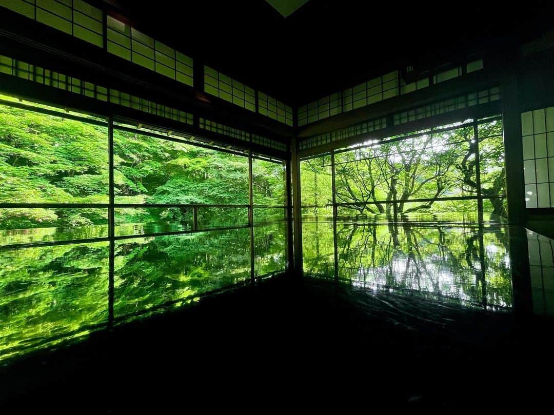 千倉里菜さんのインスタグラム写真 - (千倉里菜Instagram)「#京都 #瑠璃光院 の #青もみじ  綺麗に写真撮れてたので載せます֊ ̫ ֊ 置いてある大きなテーブルに反射してすごく綺麗に撮れます✨  高校に上がるまではずっと和室で暮らしてきたから、この畳と木の空間が落ち着いて好きです☺️ こういう部屋でいるとエアコンなくても暑さがそんなに気にならない🍃  最後の写真は可愛くて美味しかった #茶寮 の #苺フラワー最中 🍓 ひと口だったけど😂  #京都観光 #京都旅行 #女子旅」8月21日 20時00分 - rina_amatsuma