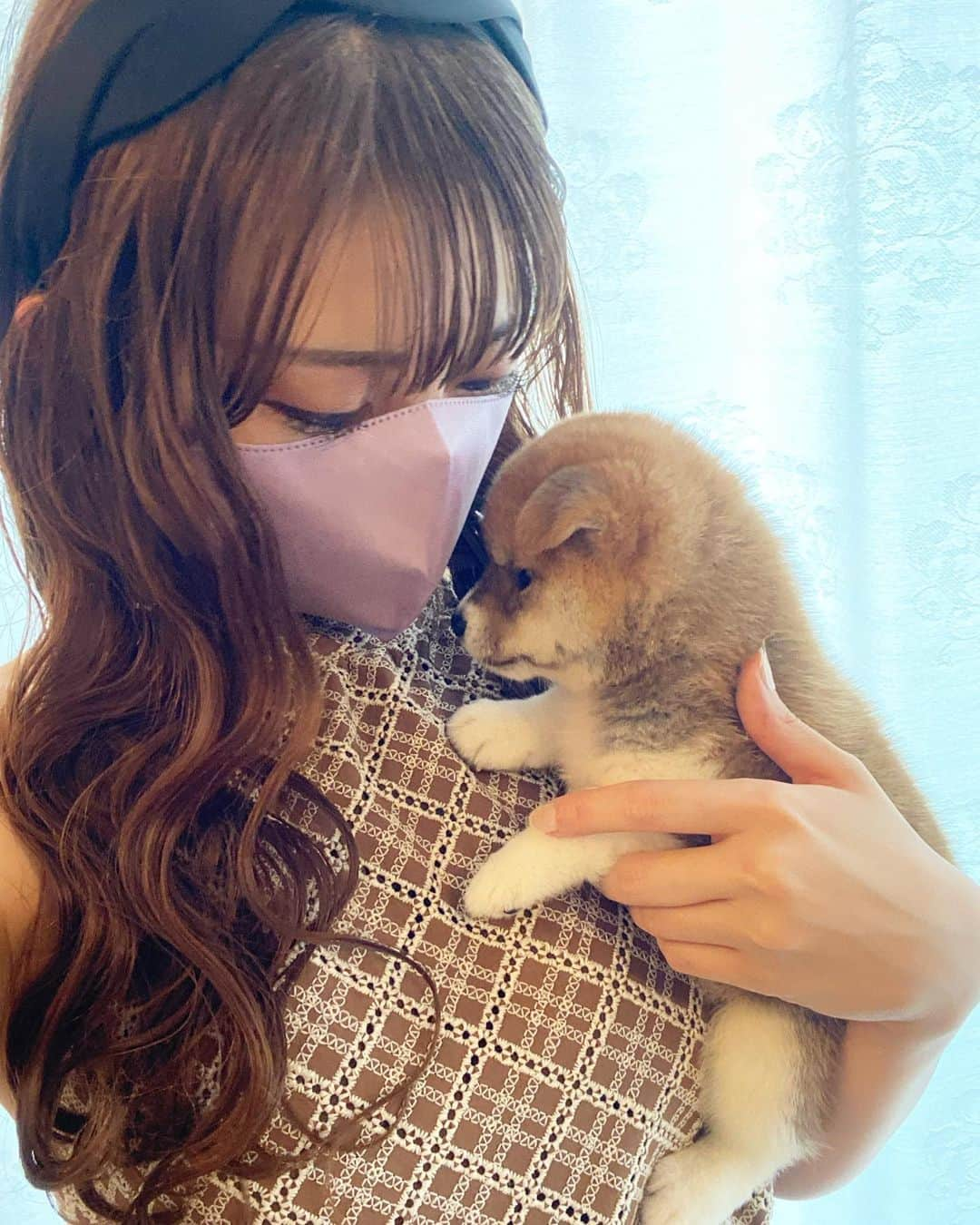 畠山茉央のインスタグラム：「．  こんなに小ちゃかったっけ？😂  ７月末のもち🐶  大阪でなかなか遊べなくても もちがいてくれたらおうちにいる時間がだいすきすぎる🥲  もちにもっと早く出会いたかった😂💓  #柴犬 #しばいぬ #しばすたぐらむ #柴犬のいる暮らし #もち #こいぬ #こいぬすたぐらむ #子犬」