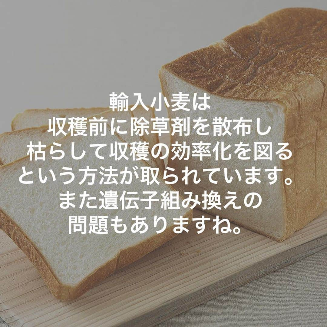 HIMAWARIさんのインスタグラム写真 - (HIMAWARIInstagram)「【小麦＝❌ではない】  食べてはいけないものも ダメな食べ物もよくない食べ物も 本来は存在しないはずです。  しかし農薬や食品添加物、 効率や利益を最優先に考え作られるような食物が多くなった昨今は そのようなことも言ってられない状況です。  何を摂るかより 何を摂らないか  を考えなくては いけないような 状況です。  それって悲しいですよね。  人は  楽しいもの 心がウキウキするものを 選択し その選択の連続で 幸せな人生を送る ことができる生き物なのに  毒を見逃さないように しっかり調べて それらをいかに避けることができるか っていう生き方を しなくてはいけない世の中の 流れを変えたいです。  ひとりひとりの選択が大切です。  『You are what You eat』  これは  食べたものがあなたを作るよ  っていう単純な言葉ではないと思っています。  食べ物をどう選ぶかが あなた自身を象徴しているよ、  食べ物をどう選ぶかがあなたの今 だけでなく未来を作るんだよ、  っていうことだと捉えています。  あなたの食の選択は あなたの人生の選択です。  ➖➖➖➖➖➖➖➖➖➖➖➖➖  このアカウントでは '食' を基盤としてどう生きるかを 楽しくワクワク伝えております。 等身大のミヤザキヒマワリを何に縛られることもなく自由に発信します。  📣オンラインサロンも運営しています📣 同じ想いを持つ仲間も随時募集中です。 詳しくはプロフィールのURLから飛んでご覧ください！  私のゴールは「健康人口を増やすこと」です。 綺麗事に聞こえますが本気でそう思っています。 そもそもここでいう私が思う ' 健康' とは。  病気になったり怪我をしないことではなく そうなったとしても自分の力で治そうとする '強くたくましい身体'   人生で 何をしたいか?何をすべきか？を自分の頭で考えて生かし ' 自分自身と向き合うことのできる心。'  全てを楽しめる肉体と心を持つ人  これが健康な人だと思っております。  一人でも多くの人がそうなれば もっともっと、確実に、 ハッピーでピースフルな地球になると信じております。  そのベースであり根幹であり幹となるのが '食' です。  私も実際 '食' を通して多くの氣付きがありました。  これを伝えるのが今回の人生での 私の使命です。  このミッションを1人でも多くの人と 面白おかしく楽しく共有していければと思います😊  #小麦 #小麦粉断ち  #小麦アレルギー  #グルテンフリー  #食が変われば人生が変わる  #食の選択は人生の選択  #健康 #食品添加物 #グリホサート #ラウンドアップ #モンサント  #農薬散布ドローン  #遺伝子組み換え #小麦粉不使用」8月22日 6時28分 - himawari_miyazaki