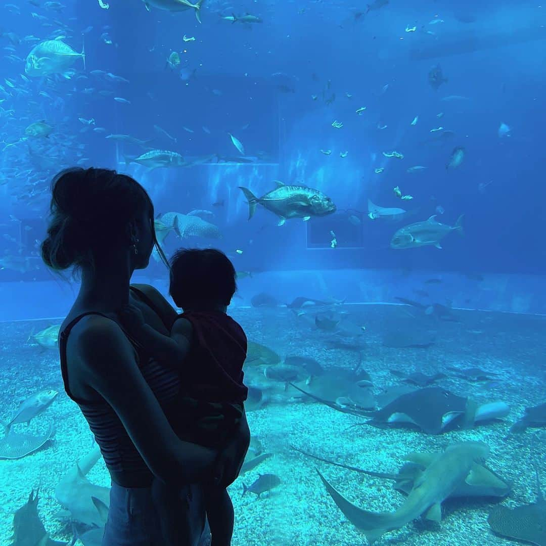 岩城まりこさんのインスタグラム写真 - (岩城まりこInstagram)「息子と初めての水族館は美ら海水族館🐠 ⁡ 不思議そうに魚眺めてた👶 ⁡ もう少し涼しくなったら動物園も連れて行きたいな🐻 ⁡ ⁡ #水族館デート #水族館好きな人と繋がりたい #水族館フォト #水族館デビュー #水族館好きと繋がりたい #美ら海 #美ら海水族館 #赤ちゃんのいる生活 #新米ママ #ベビスタグラム #ig_baby #男の子ベビー #女の子ベビー #男の子ママ #女の子ママ #育児記録 #ママライフ #ママさん #働くママ #女社長 #女性社長 #キャリアウーマン #社長 #経営者 #マタニティーライフ #妊婦生活 #マタニティーコーデ #働く女性 #ママコーディネート #ママ友募集」8月22日 21時18分 - mariko_iwaki