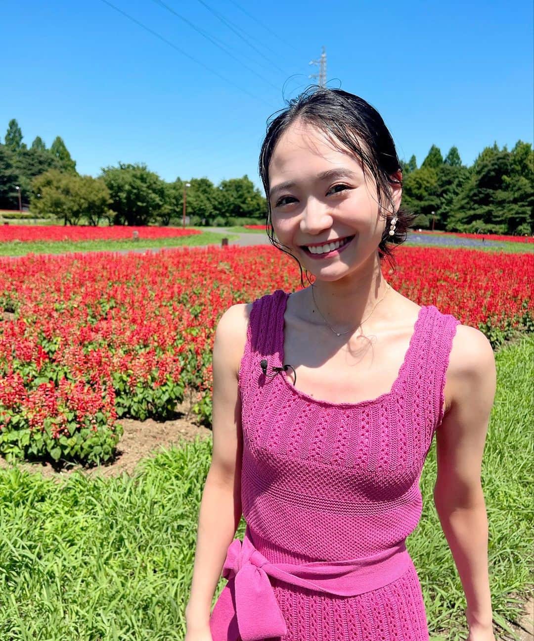 緑川静香のインスタグラム：「【お知らせ】 ⁡ 24日(水)23:59〜日テレ系全国 『それって⁉︎実際どうなの課』 ⁡ ⁡ 【スマホ１つで家の不用品を全部売ったら、いくらになるのか？】 ⁡ 放送ですー☺️❤️ ⁡ 今回は元電気屋さんの倉庫にある不用品を一斉出品💪 懐かしの家電や楽器、売れ残った未開封ＣＤがまさかの高額で売れる！？ ⁡ ということで、果たしてどうなったのか…？？ ⁡ 乞うご期待❣️ ⁡ 放送中はラジオトーク生配信で副音声しまーす✨ 一緒に観ながらワイワイしましょー😊 ⁡ #それって実際どうなの課  #フリマアプリ #オークション  #インスタライブは23:45〜 #そのままラジオトークに移行しまーす #お楽しみに🥰 #写真はオープニングの時 #さて、ここはどこでなんのお花か分かるかな？？ #しっかし暑かったなぁ」