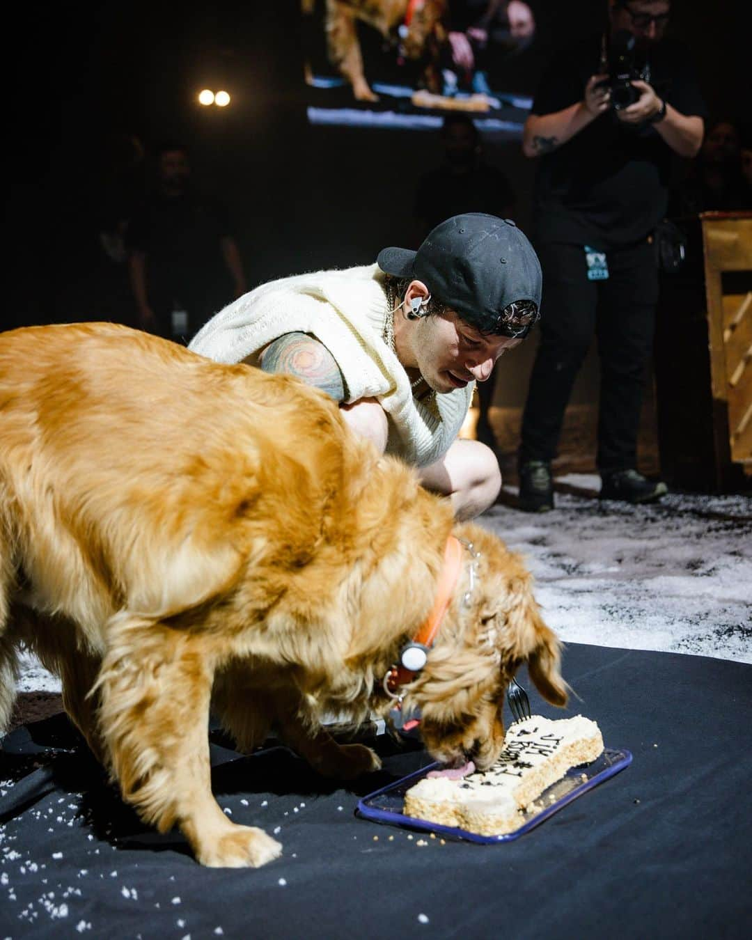 ジョシュ・ダンさんのインスタグラム写真 - (ジョシュ・ダンInstagram)「he had his cake and also ate it.  i never had a dog as a kid, so i was never really a “dog person”. didn’t understand what that was all about, but 5 years ago, jim was born and changed my life. i’ve bonded with him more than i ever knew i could bond with an animal. it’s awesome. happy birthday little dude. thanks for the vocals tyler  📸 @ashleyosborn  🎥 @reelbearmedia」8月22日 14時14分 - joshuadun