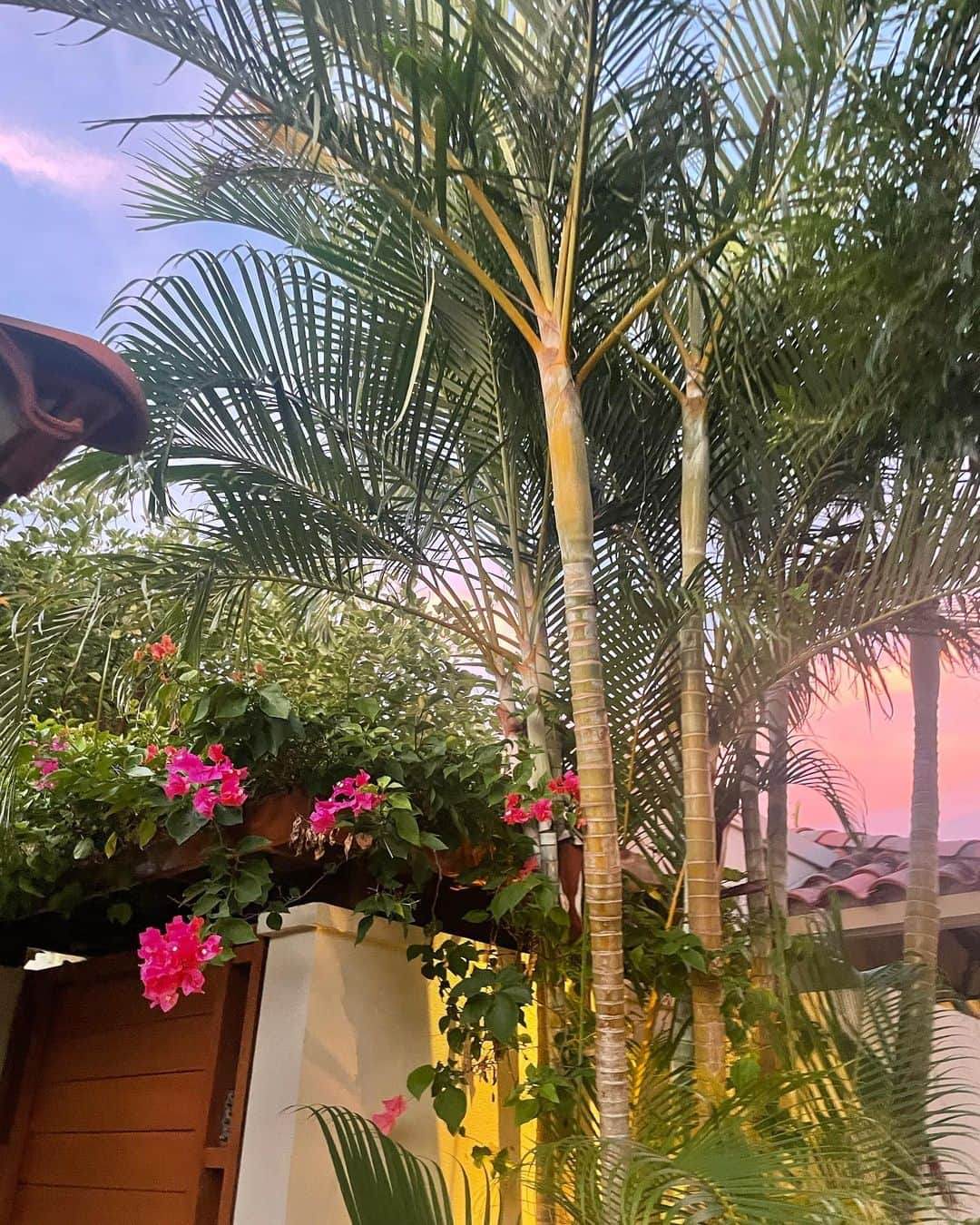 YUKAさんのインスタグラム写真 - (YUKAInstagram)「沖縄で夏を満喫してきました☀️💕💕  国際通りで、ふらっと寄った2階にある水着やさんが可愛かったです🫶☺️ 珍しくブルーをチョイス💙 今年もまた、ぽちゃぽちゃの身体のまま夏を過ごしてます🫠🫠  朝起きてすぐ泳げるプール。夜は星を眺めながらまたプール。娘もとっても楽しんでくれた旅行でした🏊‍♀️💕  #沖縄#沖縄旅行#沖縄ゴルフ#沖縄ホテル#沖縄ホテルプール#ウザテラス#ジウザテラスビーチクラブヴィラズ#きりっぱなしボブ#ボブスタイル#福岡インフルエンサー#水着#水着女子#ゴルフ女子」8月22日 19時16分 - yuka_golf_glam